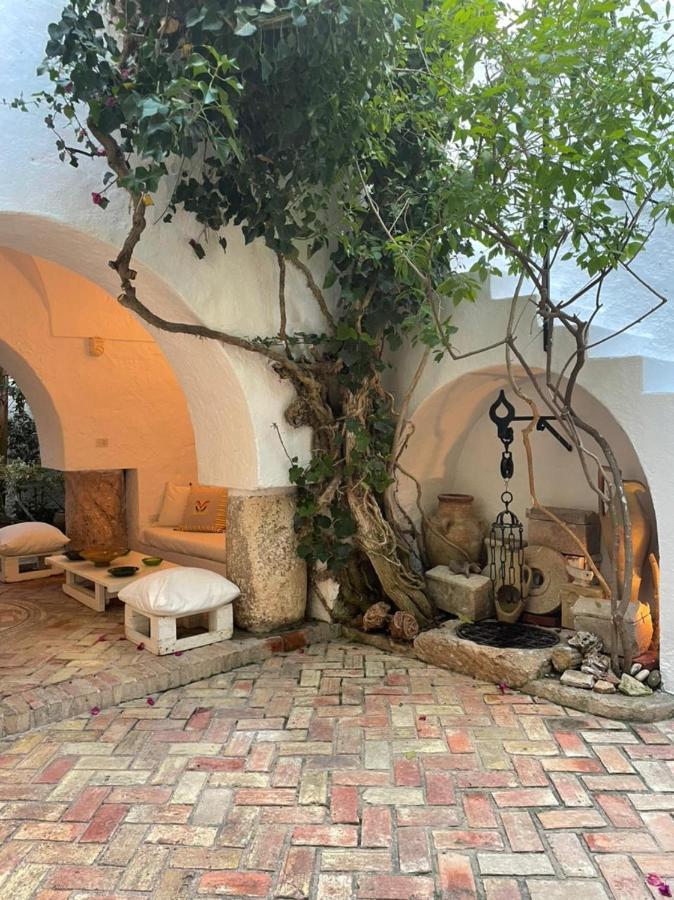 Guest house The Cypresses