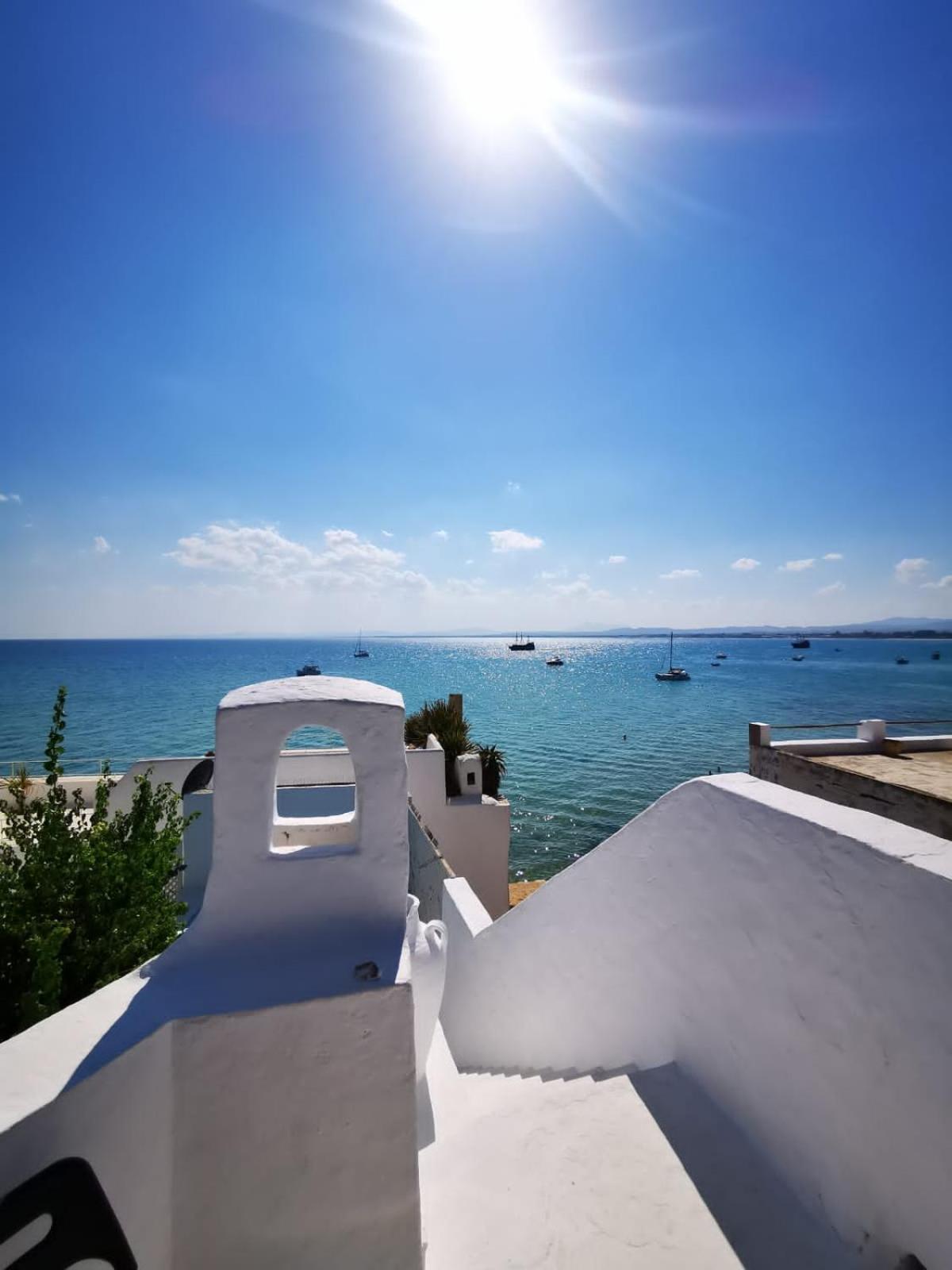 The Cypresses Guest house Hammamet